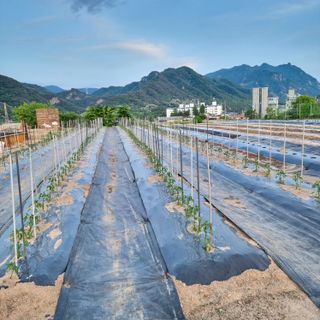 이종권님의 자유주제 · 자유게시판 작성글 사진