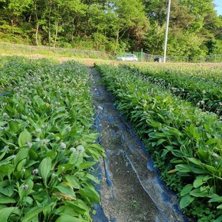 이종권님의 자유주제 · 자유게시판 작성글 사진