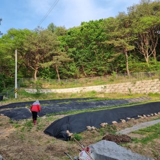 이종권님의 자유주제 · 자유게시판 작성글 사진