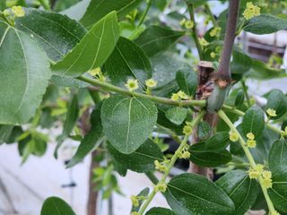 대추 9544님의 자유주제 · 자유게시판 작성글 사진