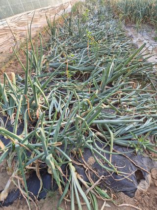 김혜순님의 자유주제 · 자유게시판 작성글 사진