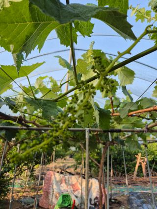 김혜순님의 자유주제 · 자유게시판 작성글 사진