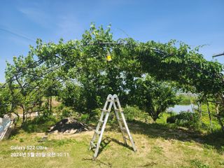 용수리또리농장님의 자유주제 · 자유게시판 작성글 사진