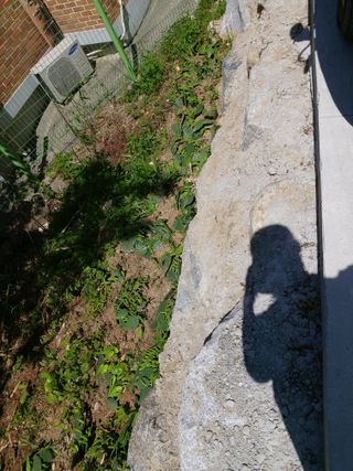 이상돈님의 복숭아 · 영농일지 작성글 사진