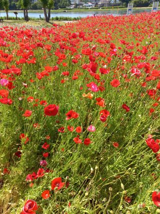 이성민님의 자유주제 · 자유게시판 작성글 사진