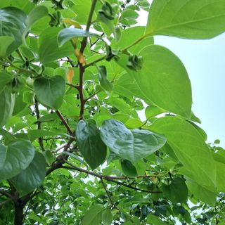 bpjh9173님의 자유주제 · 사진전 작성글 사진