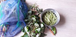 진수경님의 고구마 · 자유게시판 작성글 사진