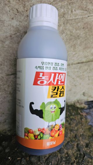 늘푸른농장님의 자유주제 · 자유게시판 작성글 사진