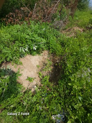 이훈정(시몬)님의 두릅 · 영농일지 작성글 사진