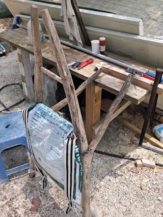 이상천님의 고추 · 영농일지 작성글 사진