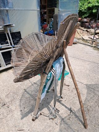 이상천님의 고추 · 영농일지 작성글 사진