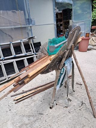 이상천님의 고추 · 영농일지 작성글 사진