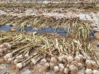 이영민님의 작성글 사진