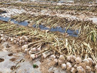 이영민님의 작성글 사진