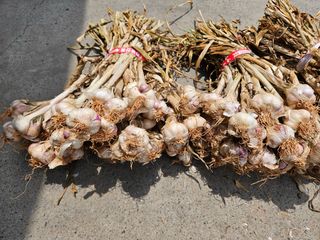 이영민님의 작성글 사진