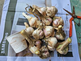 이영민님의 작성글 사진