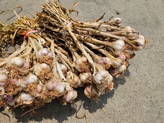 이영민님의 작성글 사진