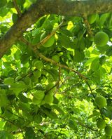 팜모닝 자유주제·자유게시판 게시글 이미지