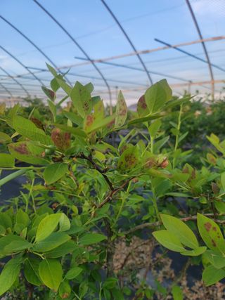 대박농부님의 농사, 무엇이든 물어보세요! · 참여글 작성글 사진