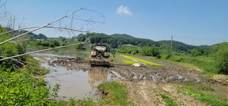 신승철님의 벼 · 영농일지 작성글 사진