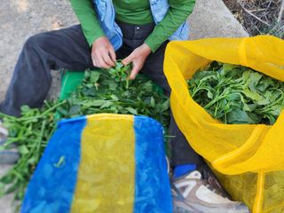 고추농사 정 미라님의 자유주제 · 자유게시판 작성글 사진