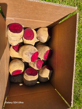 김태환님의 작성글 사진