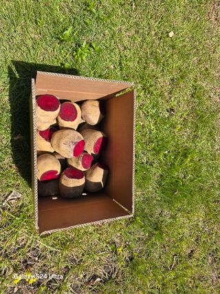 김태환님의 작성글 사진