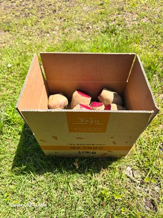 김태환님의 작성글 사진