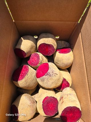 김태환님의 작성글 사진