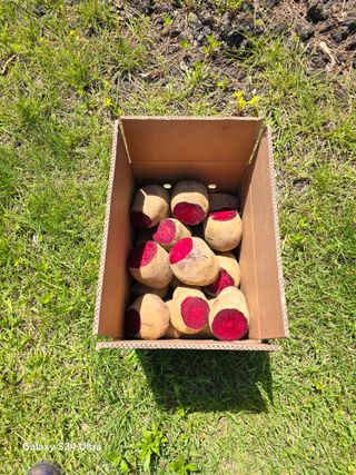 김태환님의 작성글 사진