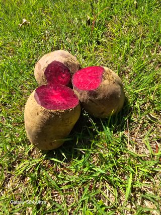 김태환님의 작성글 사진