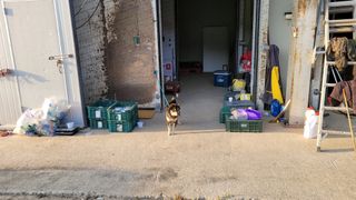 최현수님의 기타작물 · 영농일지 작성글 사진