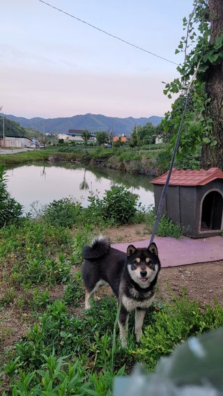 최현수님의 기타작물 · 영농일지 작성글 사진