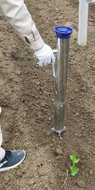 다이쏘(권자영)님의 작성글 사진