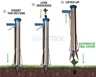 다이쏘(권자영)님의 작성글 사진