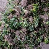 팜모닝 기타작물·영농일지 게시글 이미지