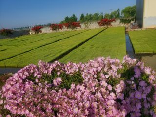 가루미님의 자유주제 · 자유게시판 작성글 사진