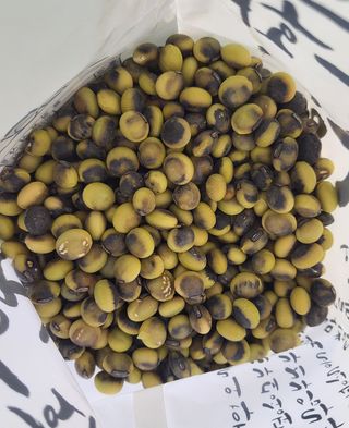 김중언님의 콩 · 자유게시판 작성글 사진