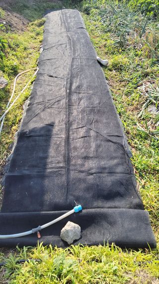 김중언님의 콩 · 자유게시판 작성글 사진