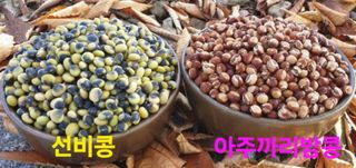 김중언님의 콩 · 자유게시판 작성글 사진