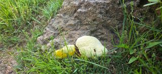 이종영님의 자유주제 · 자유게시판 작성글 사진