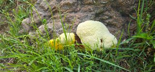 이종영님의 자유주제 · 자유게시판 작성글 사진