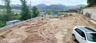 김상오.건달농사꾼님의 자유주제 · 사진전 작성글 사진