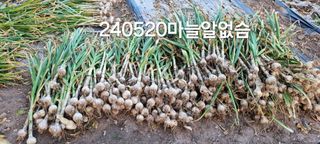 처음처럼 시작님의 자유주제 · 자유게시판 작성글 사진