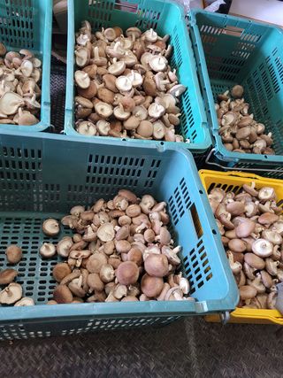 김민화님의 팜모닝 · 출석 작성글 사진