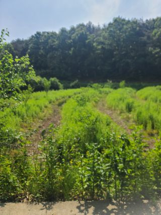 아ᆢ여름이다님의 자유주제 · 자유게시판 작성글 사진