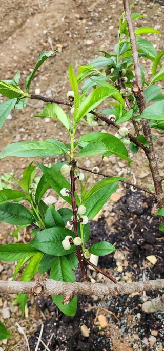 조현덕님의 자유주제 · 사진전 작성글 사진