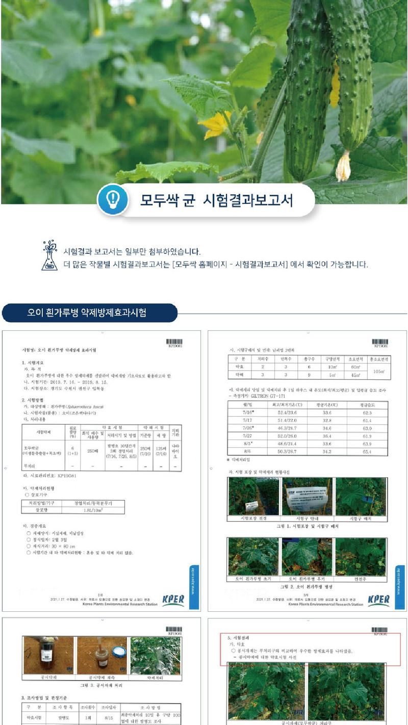 모두싹나라 김재호님의 장터 판매 상품 [모두싹 균 1L] 첨부 사진
