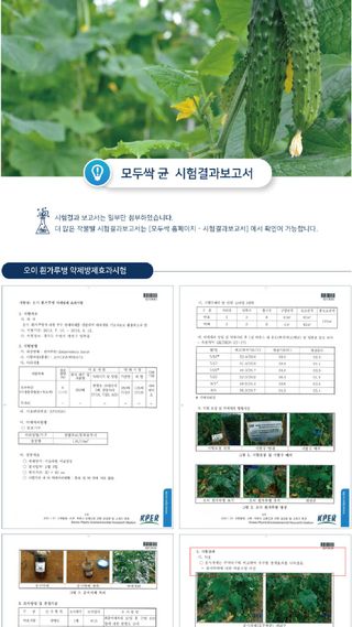 모두싹나라 김재호님의 작성글 사진