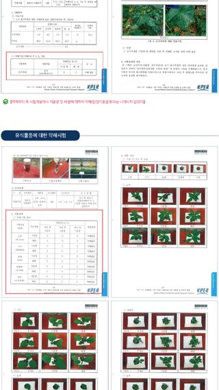 모두싹나라 김재호님의 작성글 사진